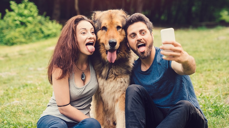 Pet Insurance tile