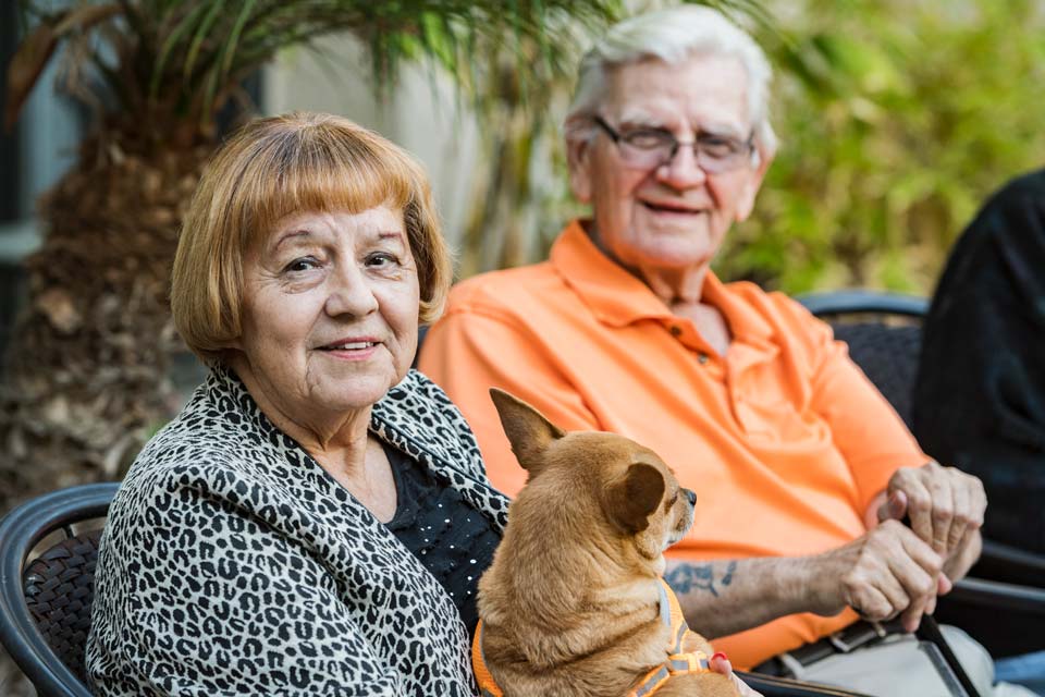 smiling senior man and woman with dog