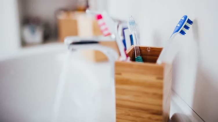 toothbrush and holder