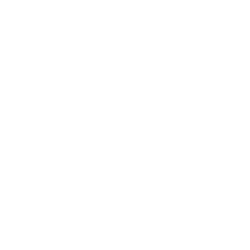 People icon